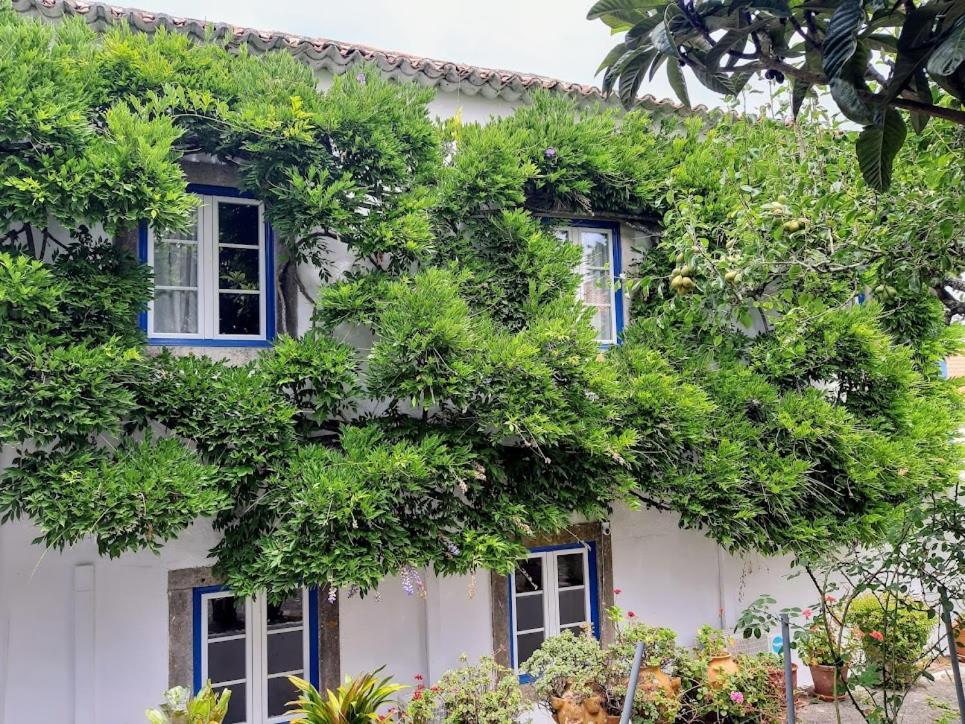 Vila Casa Do Sobral Obidos Luaran gambar